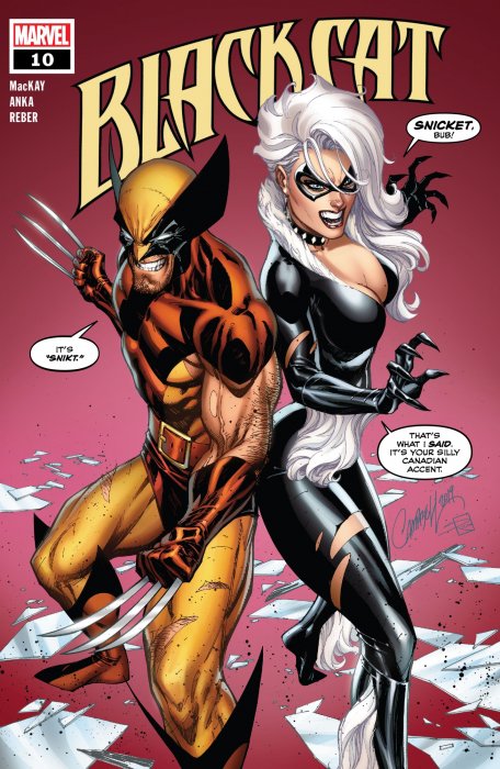 Black Cat (Black Cat #10)