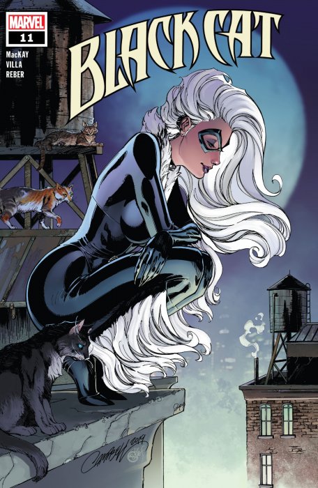 Black Cat (Black Cat #11)