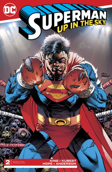 Superman: Up In The Sky (Superman: Up In The Sky #2)