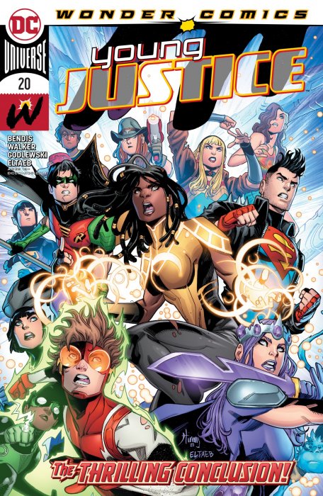 Young Justice (Young Justice Vol. 3 #20)