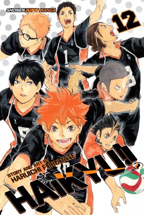 Haikyu!!, Volume 12 (Haikyu!! #99-107)