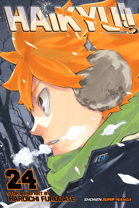 Haikyu!!, Volume 24 (Haikyu!! #208-216)