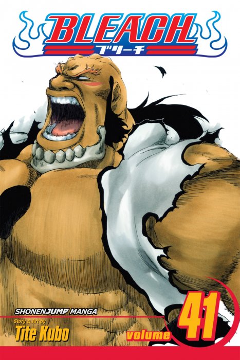 Bleach, Volume 41 (Bleach #350-358)