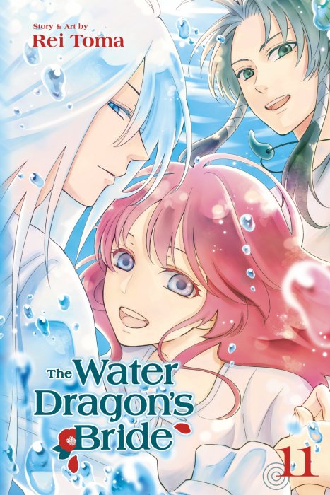 The Water Dragon's Bride, Volume 11 (The Water Dragon's Bride #41-43)