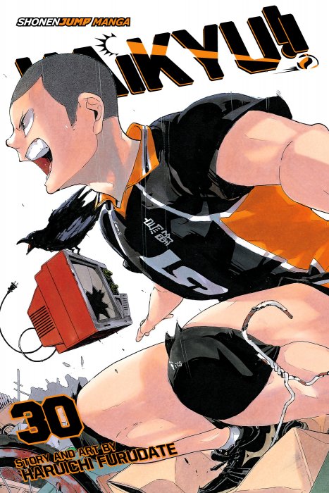 Haikyu!!, Volume 30 (Haikyu!! #261-269)