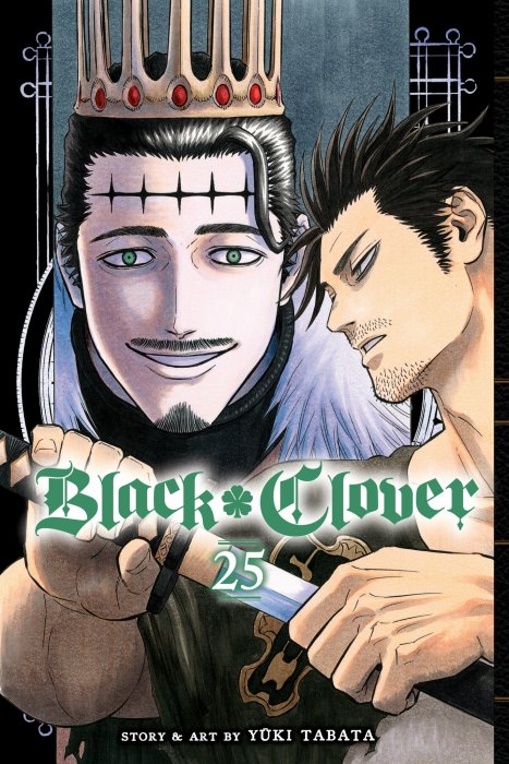 Black Clover, Volume 25: Humans And Evil (Black Clover #240-250)