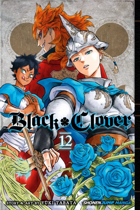 Black Clover, Volume 12 (Black Clover #101-110)