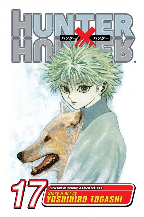 Hunter X Hunter, Volume 17 (Hunter X Hunter #164-175)