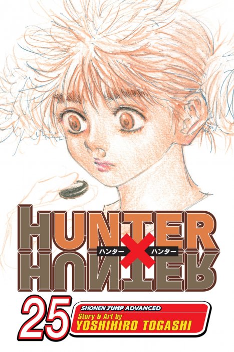 Hunter X Hunter, Volume 25 (Hunter X Hunter #261-270)