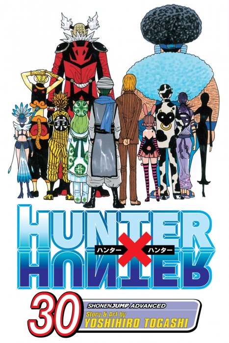 Hunter X Hunter, Volume 30 (Hunter X Hunter #311-320)