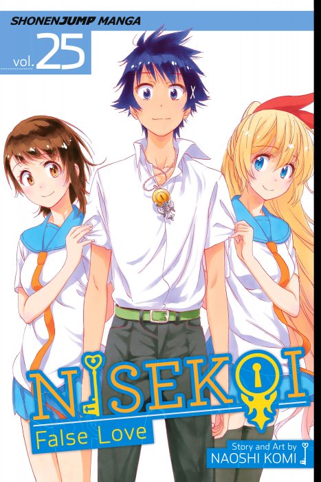 Nisekoi: False Love, Volume 25 (Nisekoi: False Love #218-228)