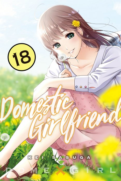 Domestic Girlfriend, Volume 18 (Domestic Girlfriend #165-174)