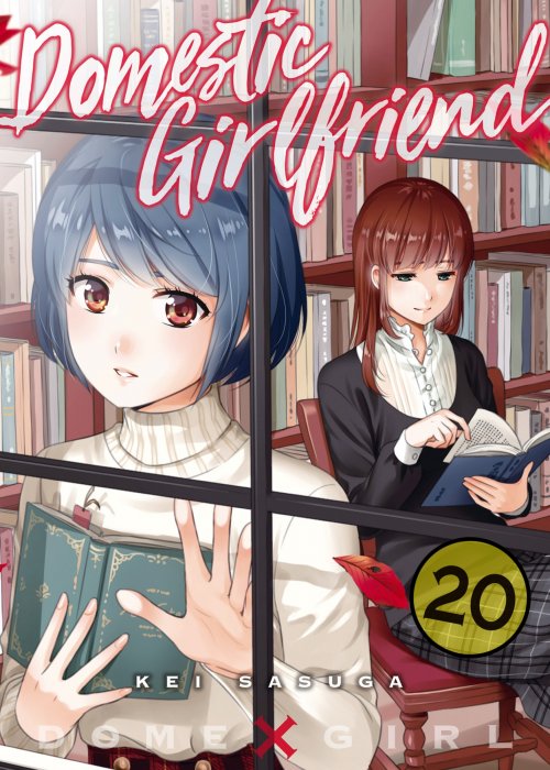 Domestic Girlfriend, Volume 20 (Domestic Girlfriend #185-194)