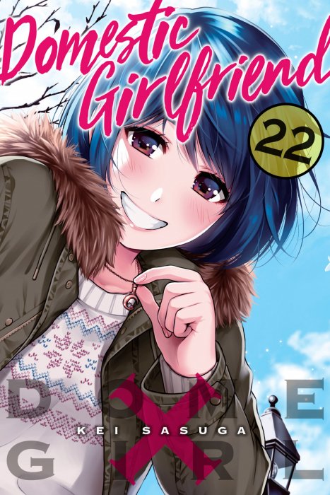Domestic Girlfriend, Volume 22 (Domestic Girlfriend #205-215)