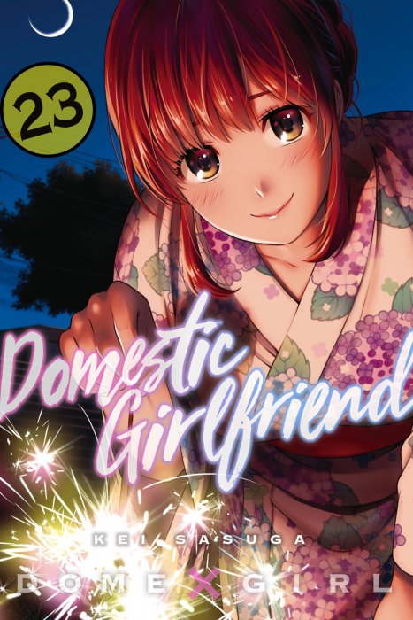 Domestic Girlfriend, Volume 23 (Domestic Girlfriend #216-225)