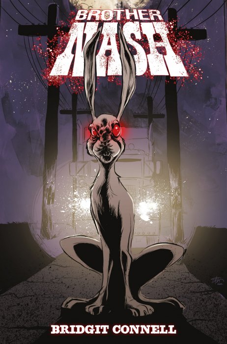 Brother Nash (Brother Nash #3)