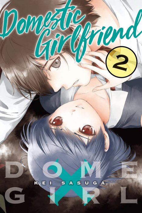 Domestic Girlfriend, Volume 2 (Domestic Girlfriend #6-15)