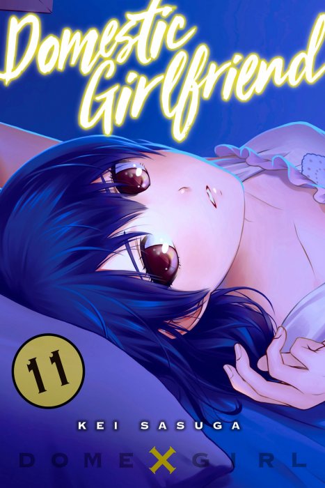 Domestic Girlfriend, Volume 11 (Domestic Girlfriend #95-104)