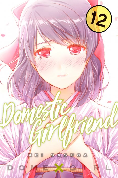 Domestic Girlfriend, Volume 12 (Domestic Girlfriend #105-114)