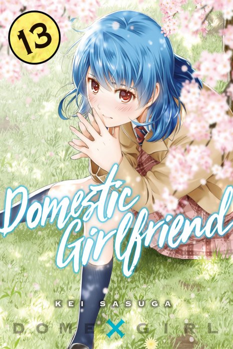 Domestic Girlfriend, Volume 13 (Domestic Girlfriend #115-124)