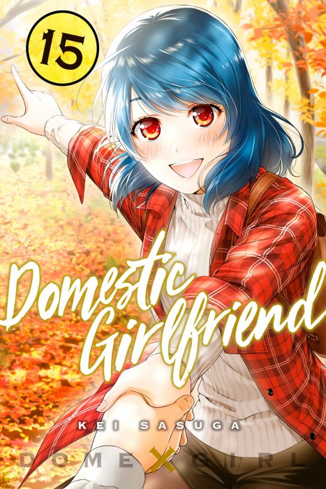 Domestic Girlfriend, Volume 15 (Domestic Girlfriend #135-144)