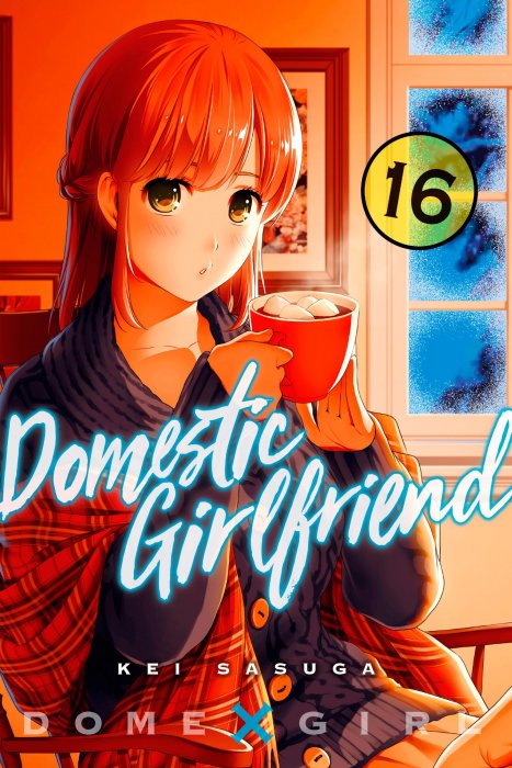 Domestic Girlfriend, Volume 16 (Domestic Girlfriend #145-154)