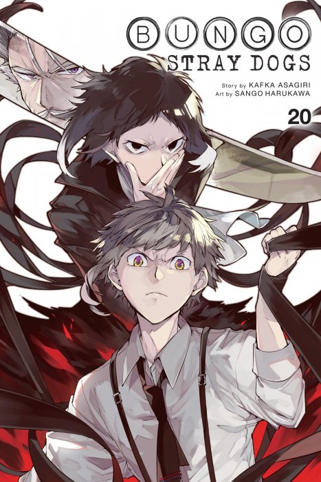Bungo Stray Dogs, Volume 20 (Bungo Stray Dogs #84-88)