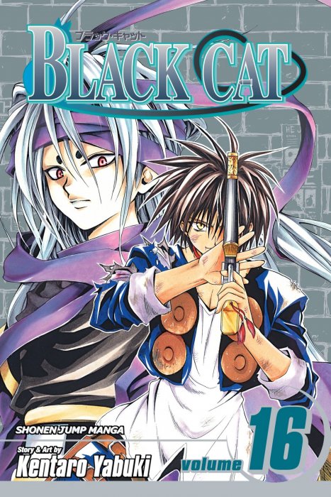 Black Cat, Volume 16: The Truth of the Tao (Black Cat #141-149)