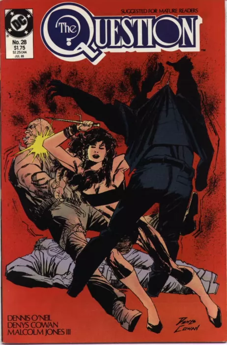 The Question (The Question #28)