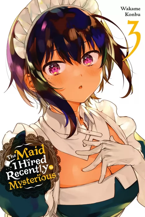 The Maid I Hired Recently Is Mysterious, Volume 3 (The Maid I Hired Recently is Mysterious #25-35)