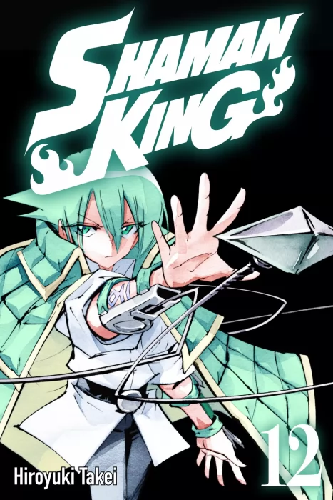 Shaman King, Volume 12 (Shaman King #99-107)