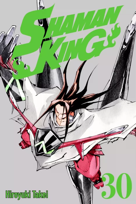 Shaman King, Volume 30 (Shaman King #258-267)