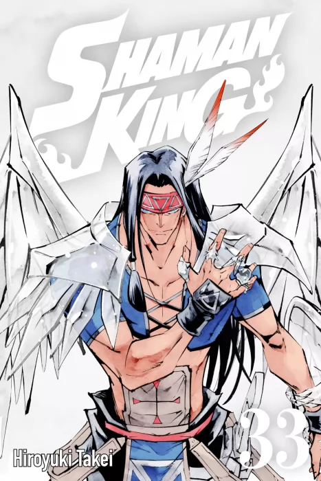 Shaman King, Volume 33 (Shaman King #288-294)
