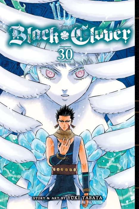 Black Clover, Volume 30: Glad Tidings (Black Clover #293-303)