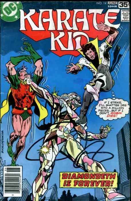 Karate Kid (Karate Kid #14)