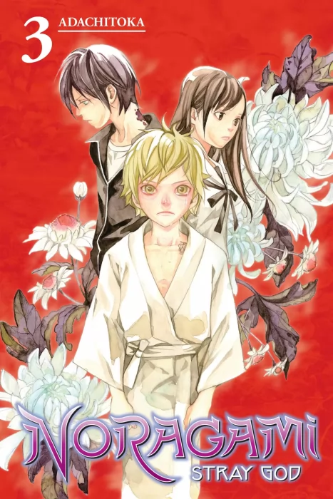 Noragami: Stray God, Volume 3 (Noragami: Stray God #8-11)