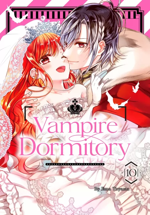 Vampire Dormitory&#44; Volume 10 (Vampire Dormitory #37-40)
