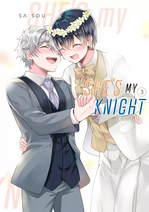 She's My Knight&#44; Volume 3 (She's My Knight #17-23)