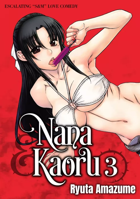 Nana & Kaoru&#44; Volume 3 (Nana & Kaoru #52-78)