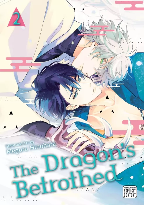 The Dragon's Betrothed&#44; Volume 2 (The Dragon's Betrothed #5-9)