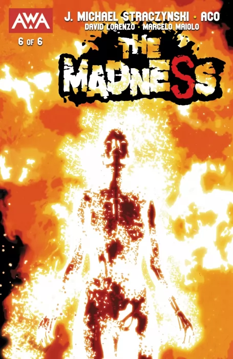 The Madness (The Madness #6)