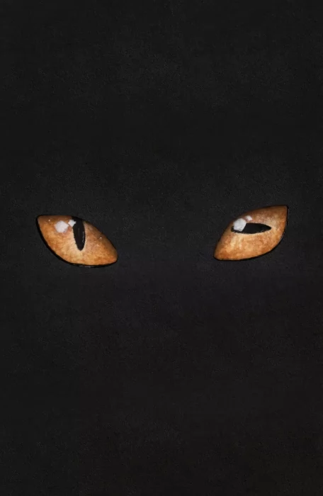 Hairball (Hairball #1-4)