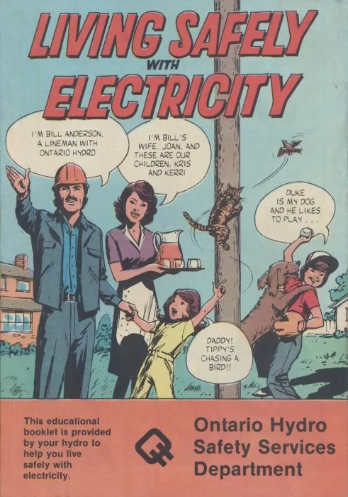 Living Safely With Electricity