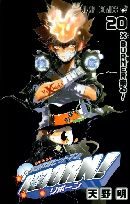 Katekyo Hitman Reborn!, Volume 20 (Katekyo Hitman Reborn! #175-185)