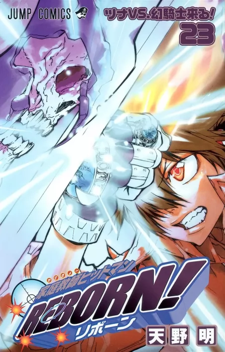 Katekyo Hitman Reborn!, Volume 23 (Katekyo Hitman Reborn! #206-215)