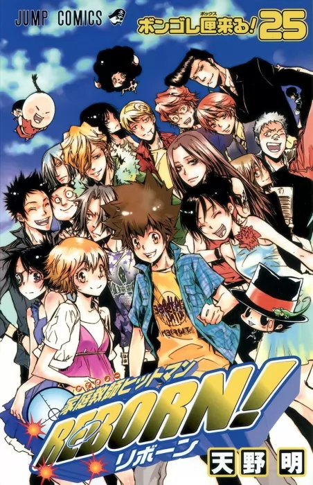 Katekyo Hitman Reborn!, Volume 25 (Katekyo Hitman Reborn! #227-237)