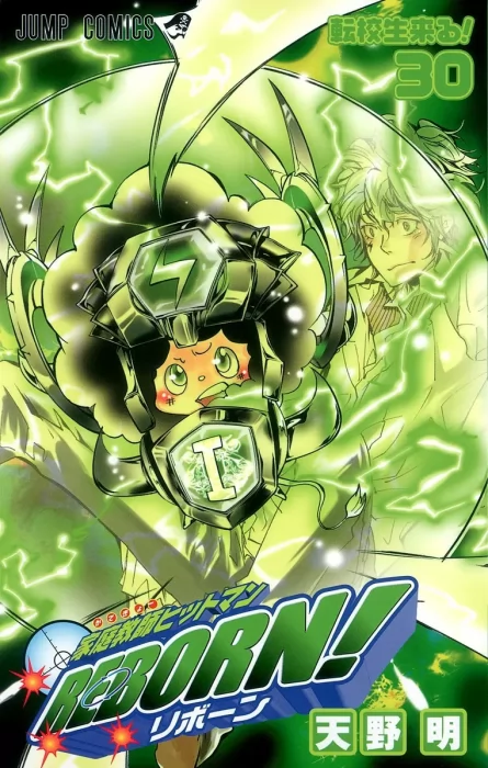 Katekyo Hitman Reborn!, Volume 30 (Katekyo Hitman Reborn! #279-288)