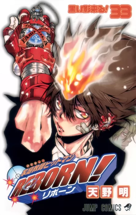 Katekyo Hitman Reborn!, Volume 33 (Katekyo Hitman Reborn! #311-320)
