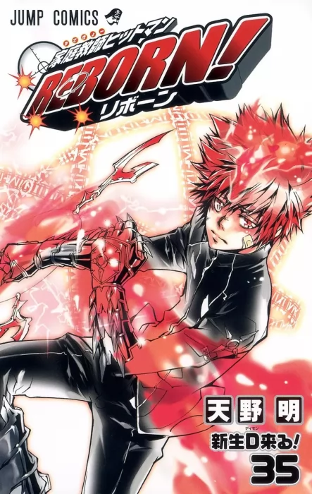 Katekyo Hitman Reborn!, Volume 35 (Katekyo Hitman Reborn! #331-341)
