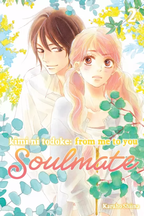 Kimi ni Todoke: From Me to You: Soulmate&#44; Volume 2 (Kimi ni Todoke: From Me to You: Soulmate #5-8)